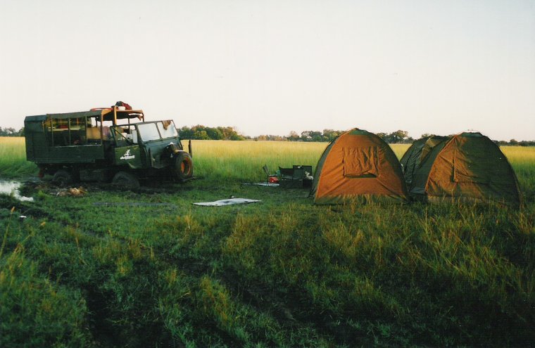 Lager im Sumpf