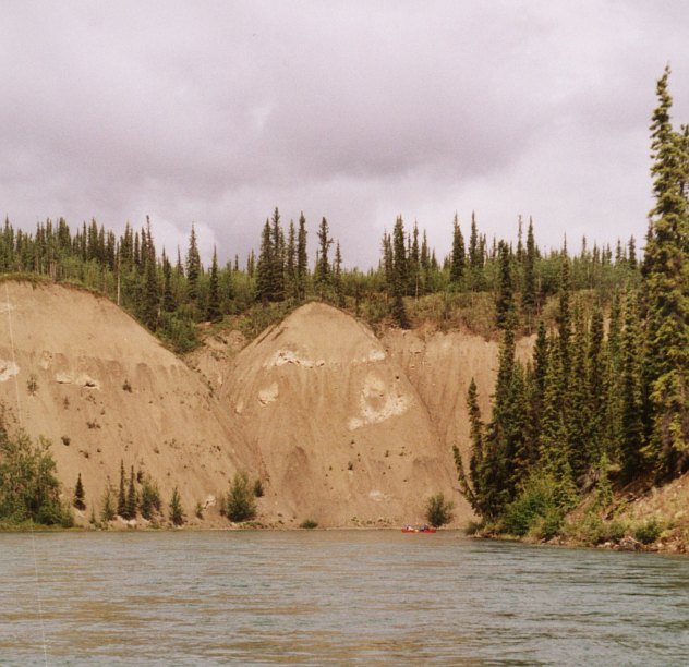Uferlandschaft am Yukon