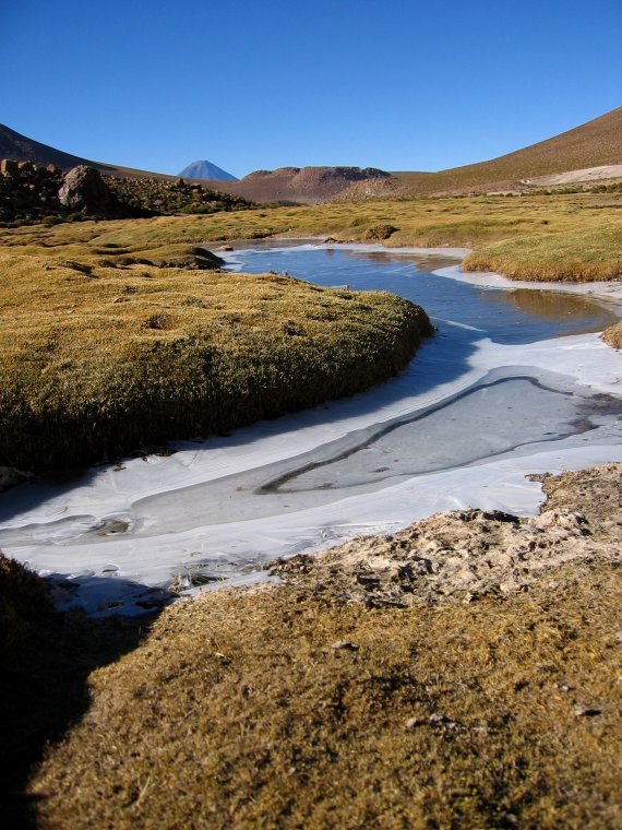 Eis auf den Tümpeln des Altiplano