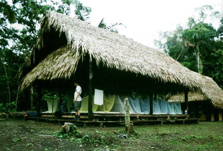 Urwaldcamp