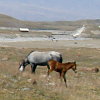 Kirgisistan - Bild 104