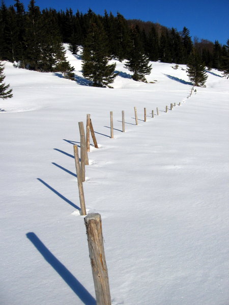 Winterimpression vom Tirolerkogel