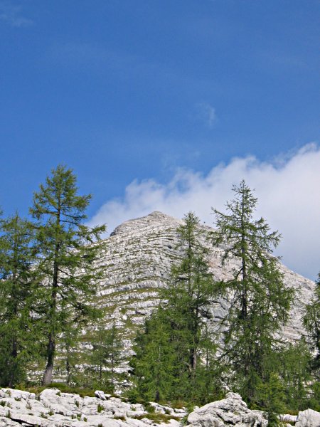 Blick zum Warscheneck-Gipfel