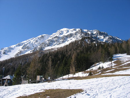 Schneeberg über Edelweißhütte