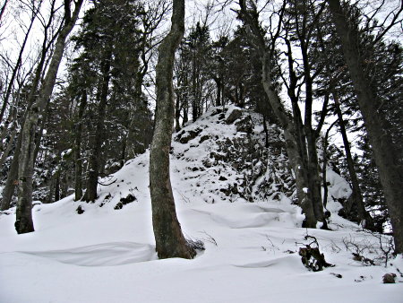 Schneewechten im Wald