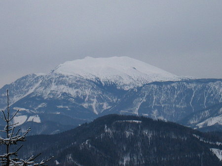 Blick zum Schneeberg