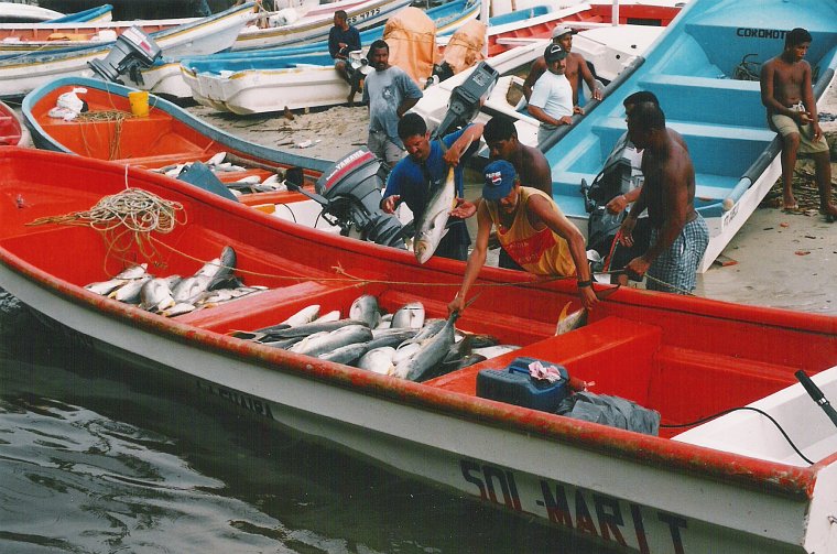 Fischer entladen ihre Boote